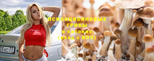 скорость Баксан