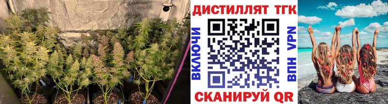 ТГК концентрат  сколько стоит  Ясногорск 