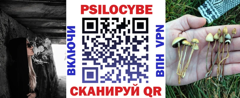 мега   наркотики  Ясногорск  Галлюциногенные грибы GOLDEN TEACHER 